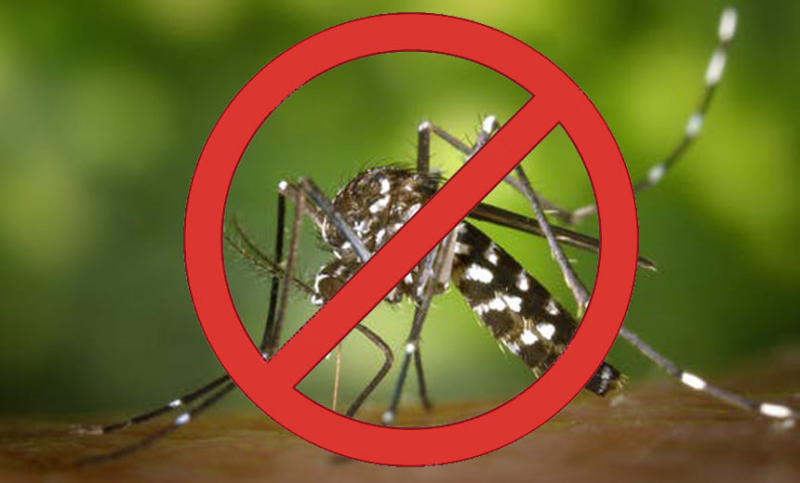 AÇÕES DE COMBATE À DENGUE